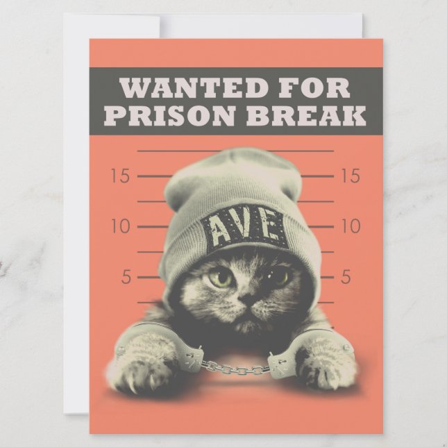 Cartão Gatinho criminal (Frente)