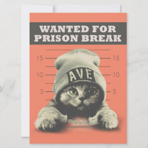 Cartão Gatinho criminal