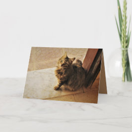 Cartão Gatinho curioso