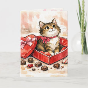 Cartão Gatinho de Aniversário Sentado em uma Caixa de Doc