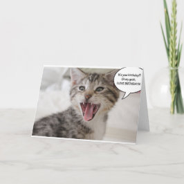 Cartão Gatinho de aniversário super surpreso!