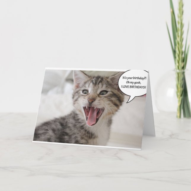 Cartão Gatinho de aniversário super surpreso! (Frente)