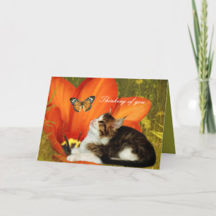 Cartão Gatinho de Gato Branco Flores "Pensando em 