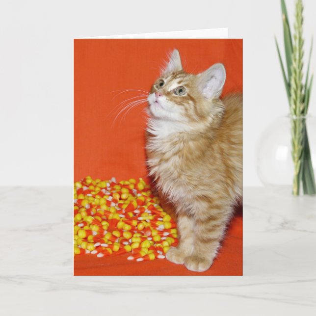 Cartão Gatinho de Halloween (Frente)