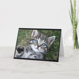 Cartão Gatinho de "Hewwo"