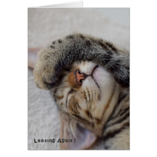 Cartão Gatinho do drama você tem que ir