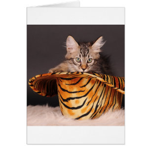 Cartão Gatinho do rolo do n da rocha