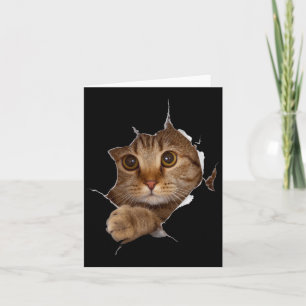 Cartão Gatinho Doce Roupa Torta - Gateiro Engraçado