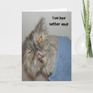 Cartão Gatinho doente