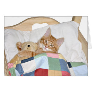 Cartão Gatinho dorme com ursinho de pelúcia