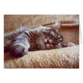 Cartão Gatinho Dormindo