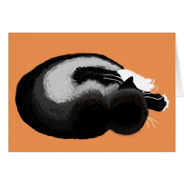 Cartão gatinho dormindo (Frente Horizontal)