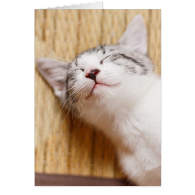 Cartão Gatinho Dormindo (Frente)