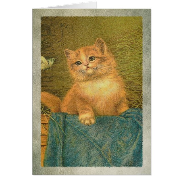 Cartão Gatinho e borboleta (Frente)