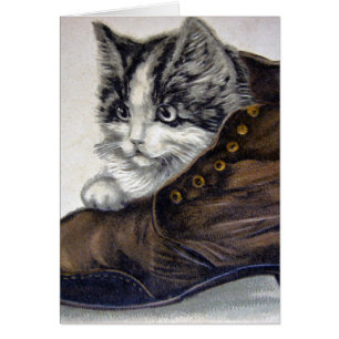 Cartão Gatinho em um Calçado