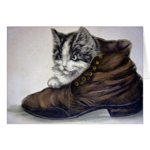 Cartão Gatinho em um Calçado