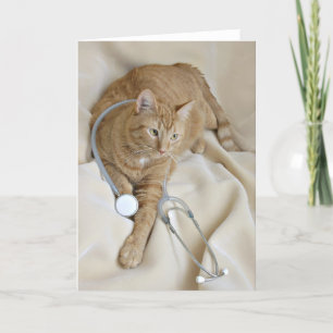 Cartão Gatinho fica bem