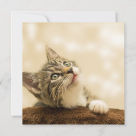 Cartão Gatinho Fofo com uma Pata Estimulada