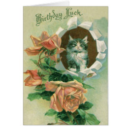 Cartão Gatinho Fofo Rosa Rosas