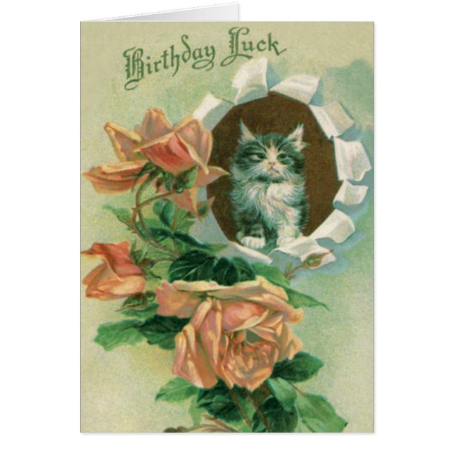 Cartão Gatinho Fofo Rosa Rosas (Frente)