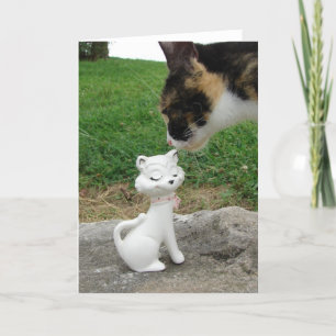 Cartão Gatinho, Gatinho