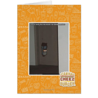 Cartão Gatinho laser