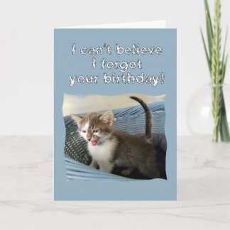 Cartão Gatinho Louco Belado Aniversário