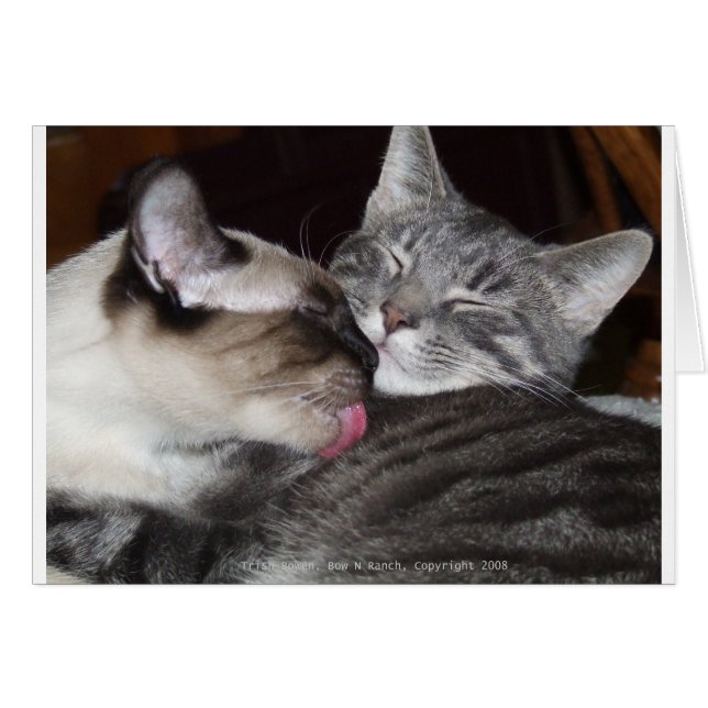 Cartão Gatinho Love (Frente Horizontal)