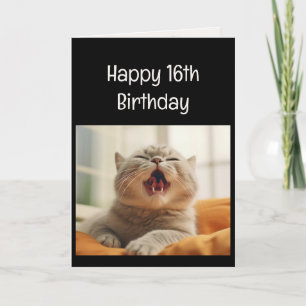 Cartão Gatinho Miando Divertido Aniversário de 16 Anos Hu