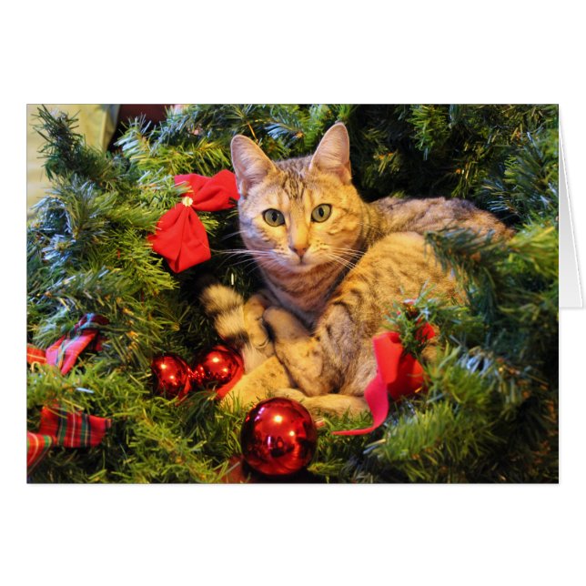 Cartão Gatinho na árvore de Natal (Frente Horizontal)