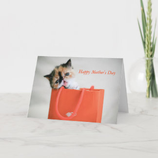 Cartão Gatinho Na Placa De Dia de as mães Da Banheira De 