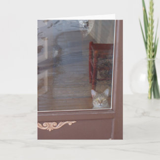 Cartão Gatinho na porta