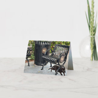 Cartão Gatinho no Parque