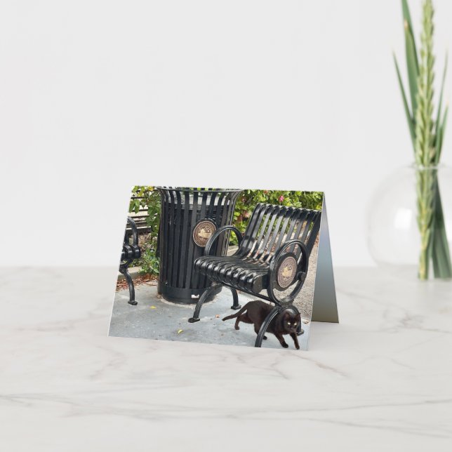 Cartão Gatinho no Parque (Frente)