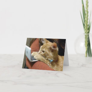 Cartão Gatinho OCUPADO DIZ ***FELIZ ANIVERSÁRIO** PARA V