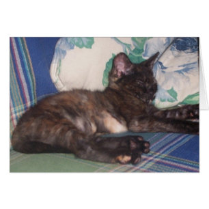 Cartão Gatinho pequeno