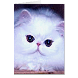 Cartão Gatinho persa branco do gatinho do gato