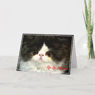 Cartão Gatinho preto e branco fofinho de Natal