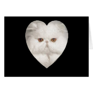 Cartão Gatinho Purfect