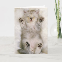 Cartão Gatinho que dorme em um tapete macio branco,