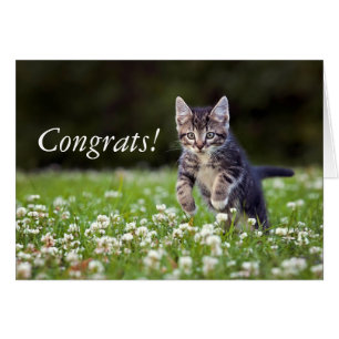 Cartão Gatinho que funciona através do trevo