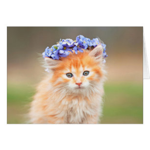 Cartão Gatinho que veste uma festão roxa