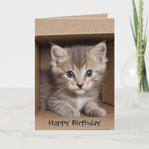 Cartão Gatinho Tabby de Aniversário na Caixa de Papelão