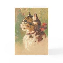 Gatinho Vintage, Parabéns