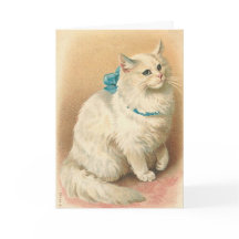 Gatinho Vintage, Parabéns