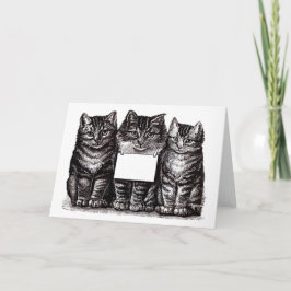 Cartão Gatinhos