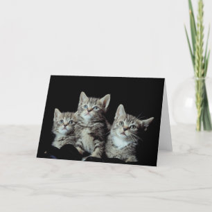Cartão Gatinhos Adoráveis