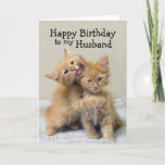 Cartão Gatinhos da laranja do feliz aniversario do marido<br><div class="desc">Beijos alaranjados e abraços de um gatinho um outro gatinho. Este par adorável de abraçar gatinhos alaranjados cria um cumprimento encantador para um cartão de aniversário para amado. Você pode personalizar este para uma outra ocasião ou relação tal como "o aniversário feliz" e o namorada, a esposa ou o namorado....</div>