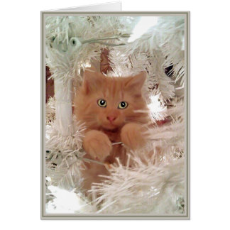 Cartão Gatinhos de placa PUPs 16