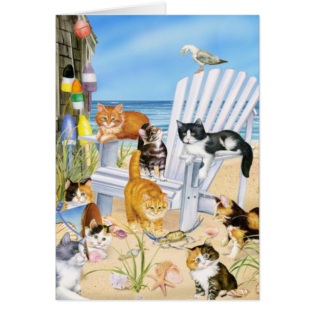 Cartão Gatinhos do vagabundo da praia! (Frente)
